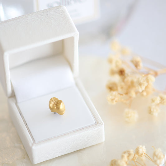 金乳歯(奥歯) (ジュエリーBOX)