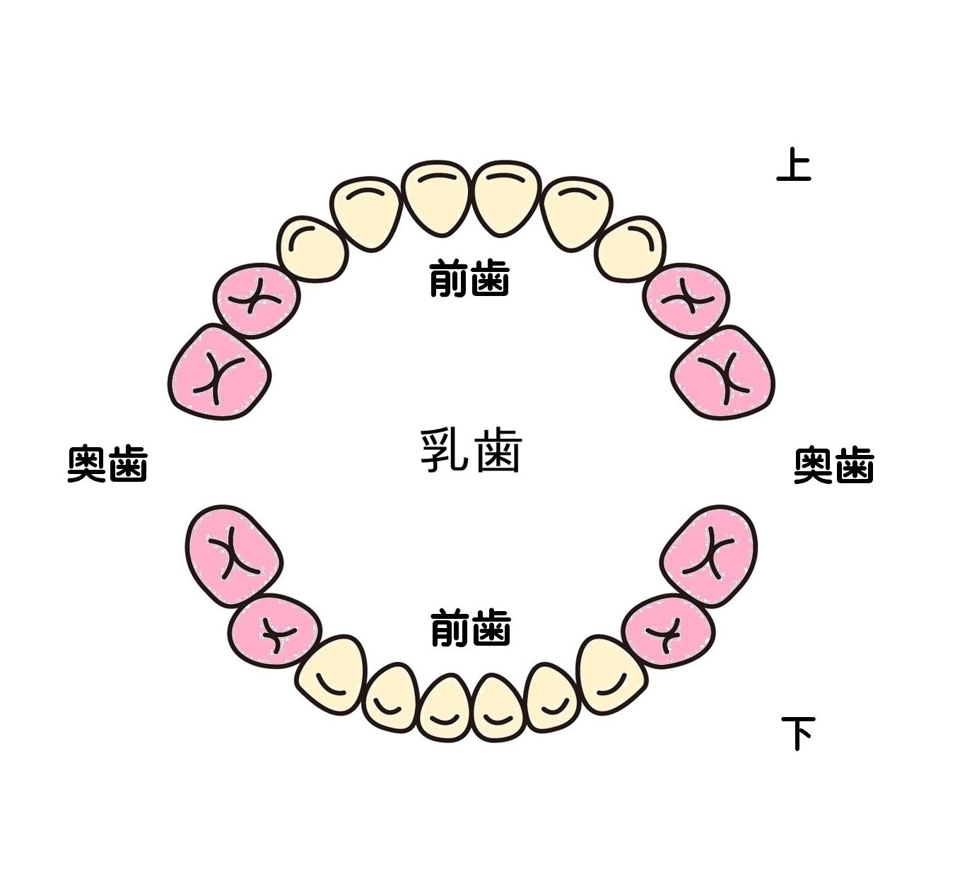 ドロップ　ピアス/イヤリング（前歯・タイプA・High）