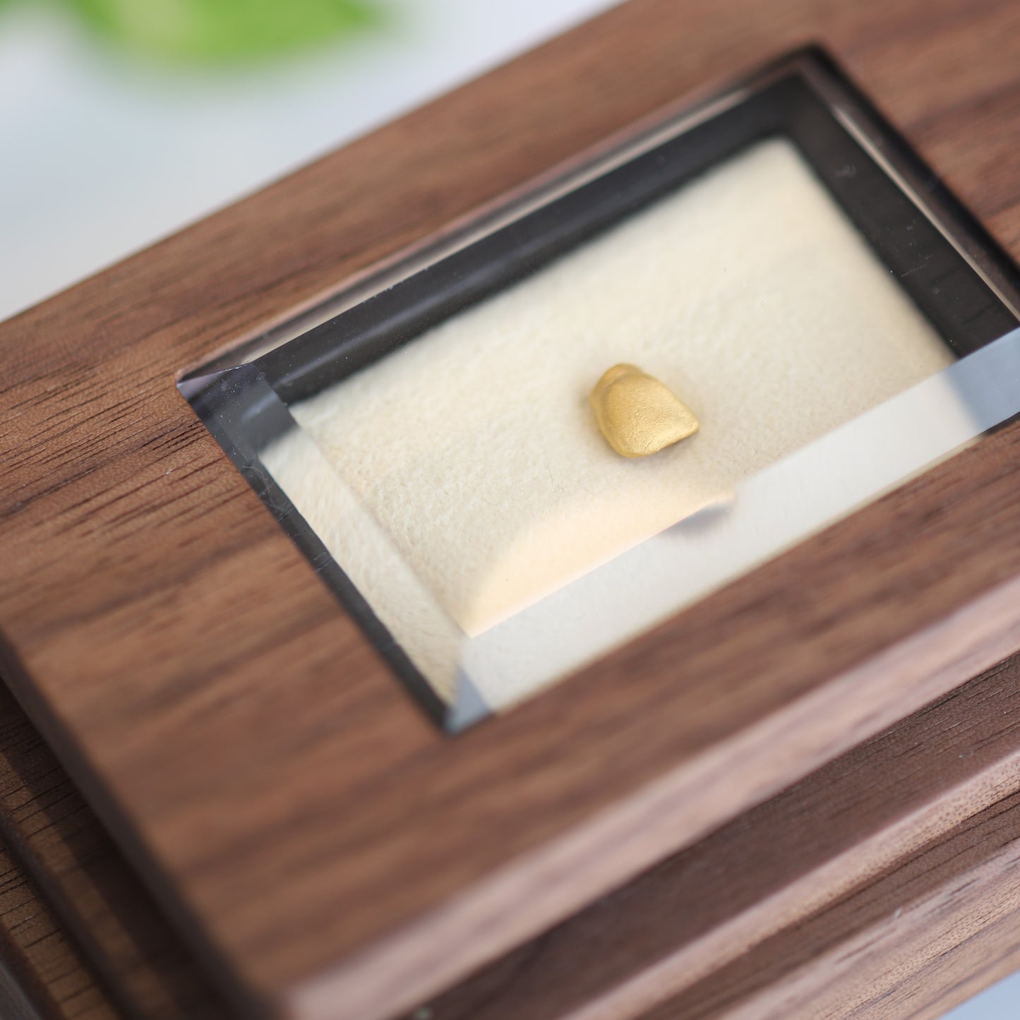 金乳歯（前歯）（木製ケース）