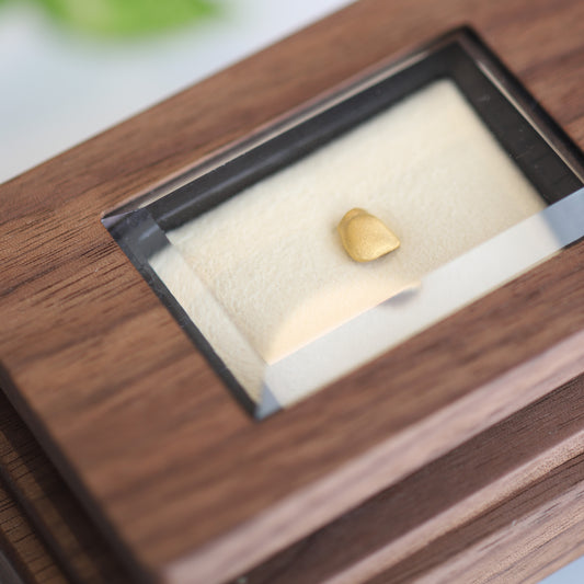 金乳歯（前歯）（木製ケース）