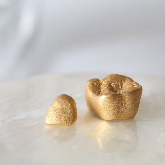 チェーン　ピアス/イヤリング（前歯・タイプB・Standard)