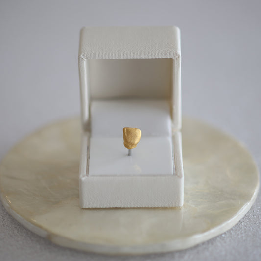 金乳歯（前歯） (ジュエリーBOX)