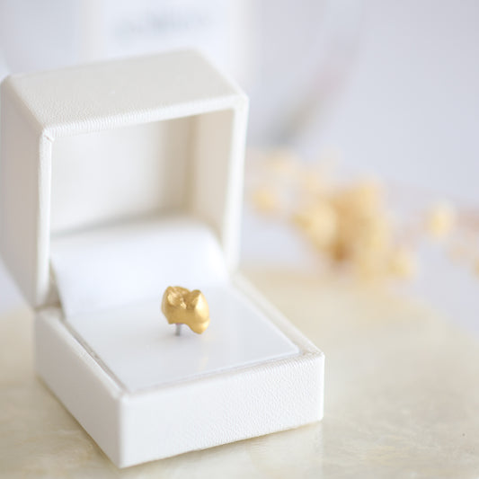 金乳歯（奥歯） (ジュエリーBOX)